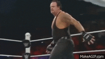 the undertaker GIF