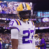 College Football GIF by LSU Tigers