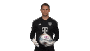 Fc Bayern Ball Sticker by Bundesliga