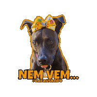 Cacausando cachorro cachorros cacausando cacauecookie Sticker