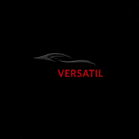 Protecao GIF by Autoversatil