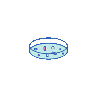 Ebs Sticker by Erindale Biology Society