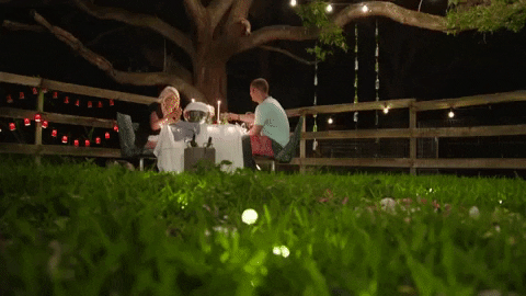 say yes cheers GIF by Party Down South