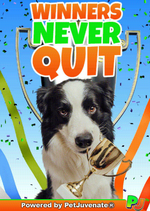 PetJuvenate petjuvenate henlo hooman fren love rescue dogs treatos and woofer for pupper GIF