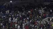 Football Fans GIF by Ettifaq