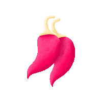 ichbinisabel illustration health spicy nutrition Sticker