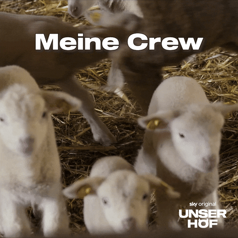 Baby Wow GIF by Sky Deutschland