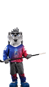 Sport Mascot Sticker by FinHockey