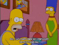 homer simpson GIF