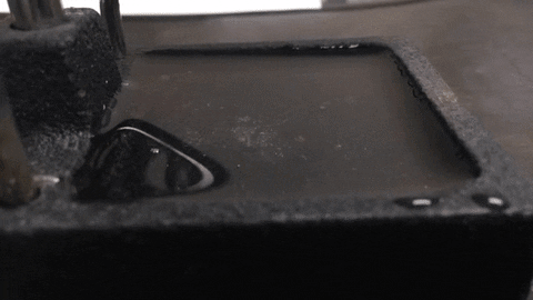 sponge GIF
