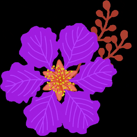 cynthiabauzonarre giphygifmaker flower flowers philippines GIF