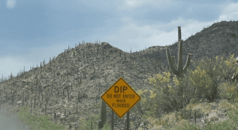 Do Not Enter Road Trip GIF by Sub Pop Records