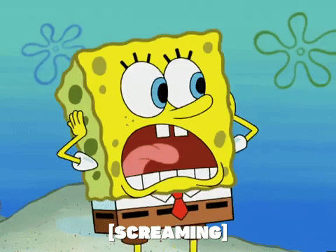 season 6 episode 13 GIF by SpongeBob SquarePants