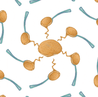 spreadthelovefoodsla peanut butter flash sale drizzle GIF