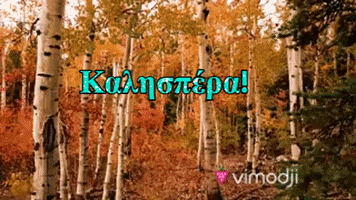 Kalispera GIF by Vimodji