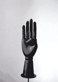 Digital Artist Middle Finger GIF
