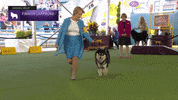 Dogs GIF by Westminster Kennel Club