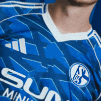 Football Soccer GIF by FC Schalke 04