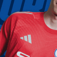 Football Soccer GIF by FC Schalke 04