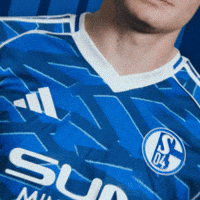 Football Soccer GIF by FC Schalke 04
