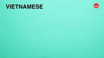 Asian School Lunches