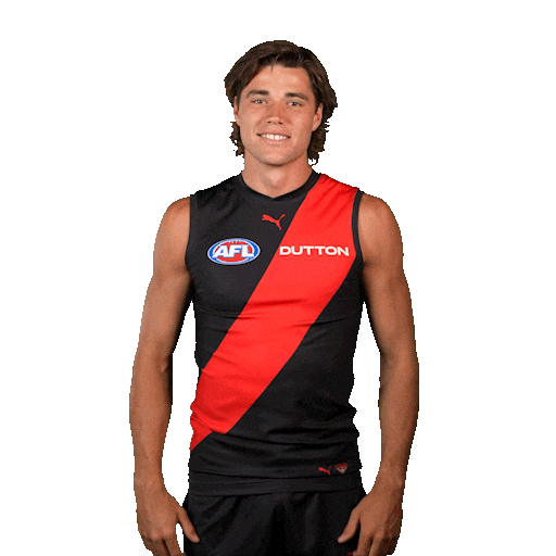 Football Sport Sticker by Essendon FC