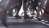 Treadmill GIF by Team HOTSHOT