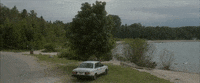 Little Bird Canada GIF by TIFF