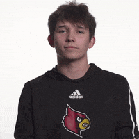 University Of Louisville Diving GIF by Louisville Cardinals