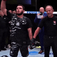 Wrestling Ufc GIF