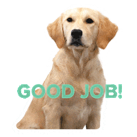 Gopublic cute dog wink good job Sticker