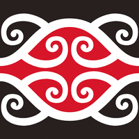 kiwi nz GIF by Emotiki - The World's First Māori emoji app