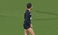 Carlton Fc Yes GIF by Carlton Football Club