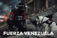 Usar La Guaira GIF by Mr Urbina