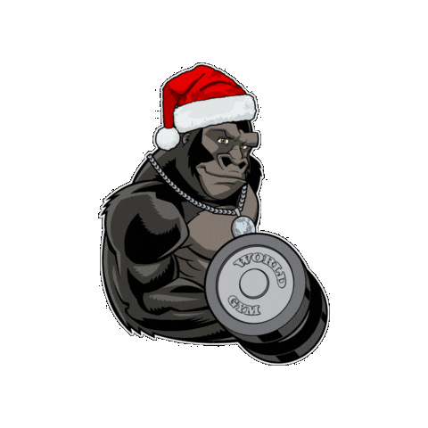 Christmas Sticker by World Gym