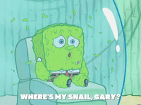 season 5 episode 3 GIF by SpongeBob SquarePants