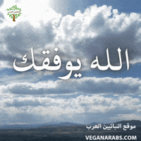 Middle East Wow GIF by VeganArabs