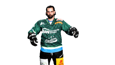 SteelersBietigheim giphyupload eishockey steelers del Sticker