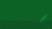 Basketball Slovenia GIF by kkcedevitaolimpija
