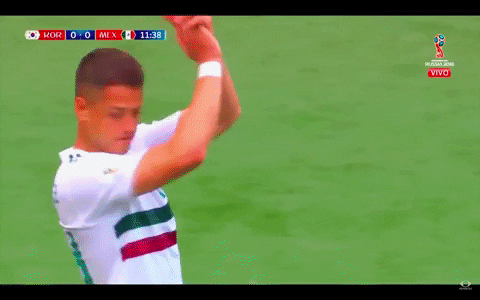 qatar 2022 rusia 2018 GIF by MiSelecciónMX