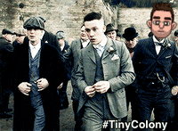 tinycolony gaming solana tinycolony GIF