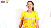 The Valley Mvc GIF by Missouri Valley Conference