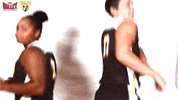 The Valley Mvc GIF by Missouri Valley Conference