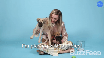 I'm Playing With Puppies!