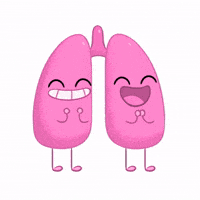 Health Joy GIF by Story Leaf