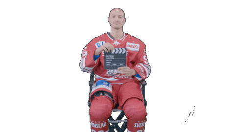 Hockey Family Sticker by Eisbären Regensburg