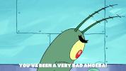 season 9 safe deposit krabs GIF by SpongeBob SquarePants