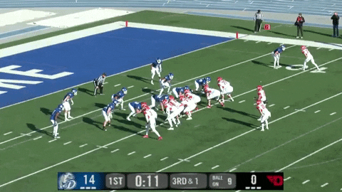 SchaufDS giphygifmaker GIF