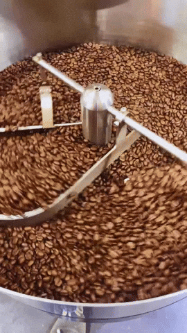 Coffee Beans GIF by Berk's Beans Coffee