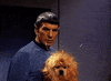 star trek GIF